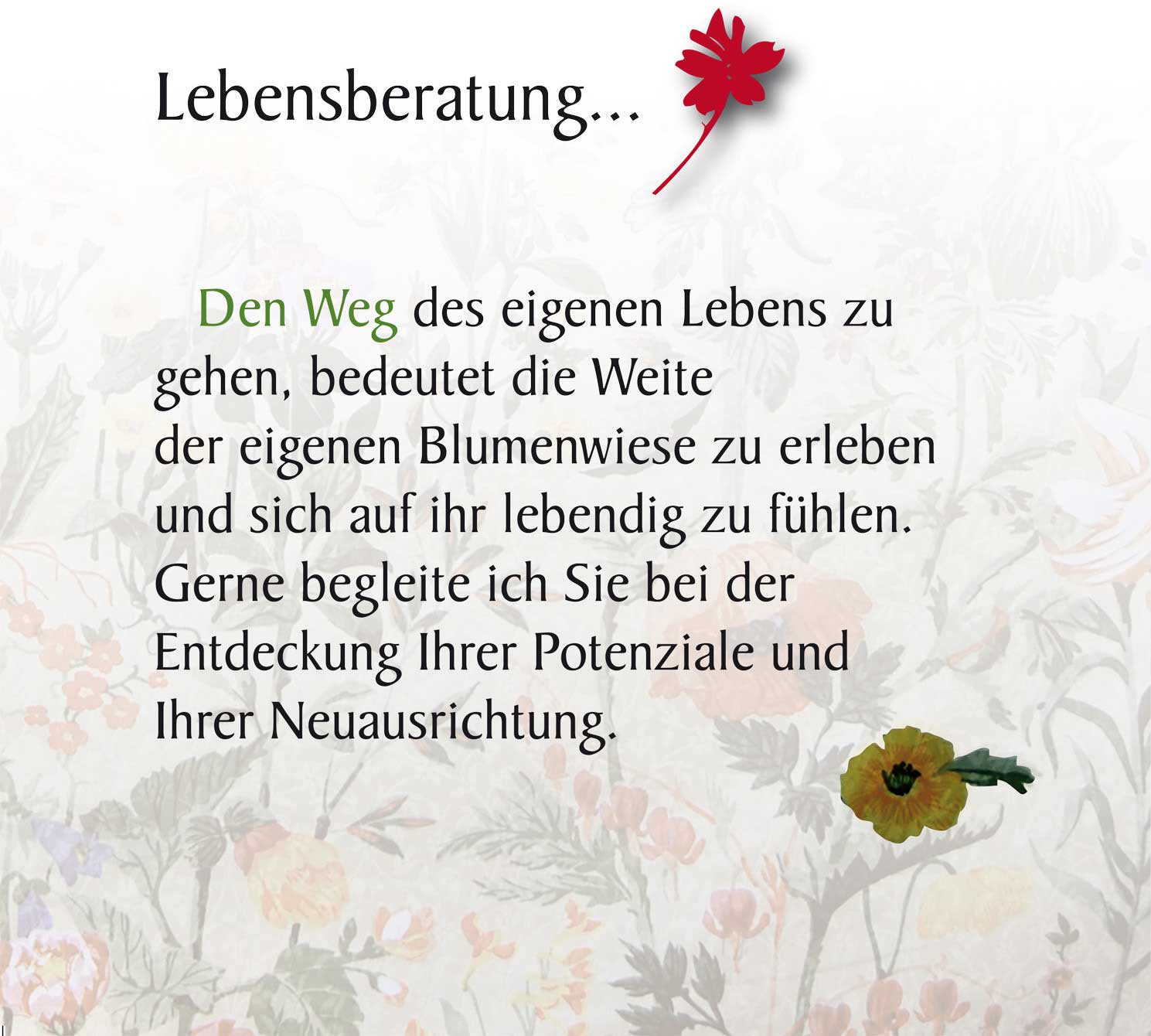 Lebensberatung... Den Weg des eigenen Lebens zu gehen, bedeutet die Weite der eigenen Blumenwiese zu erleben und sich auf ihr lebendig zu fühlen. Gerne begleite ich Sie bei der Entdeckung Ihrer Potenziale und Ihrer Neuausrichtung.